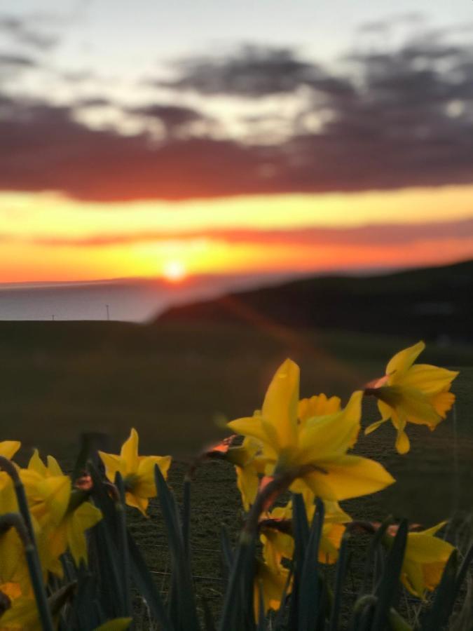 Bunnahabhain 5 - Farm Stay - Stunning Sea And Rural Views Stranraer Zewnętrze zdjęcie