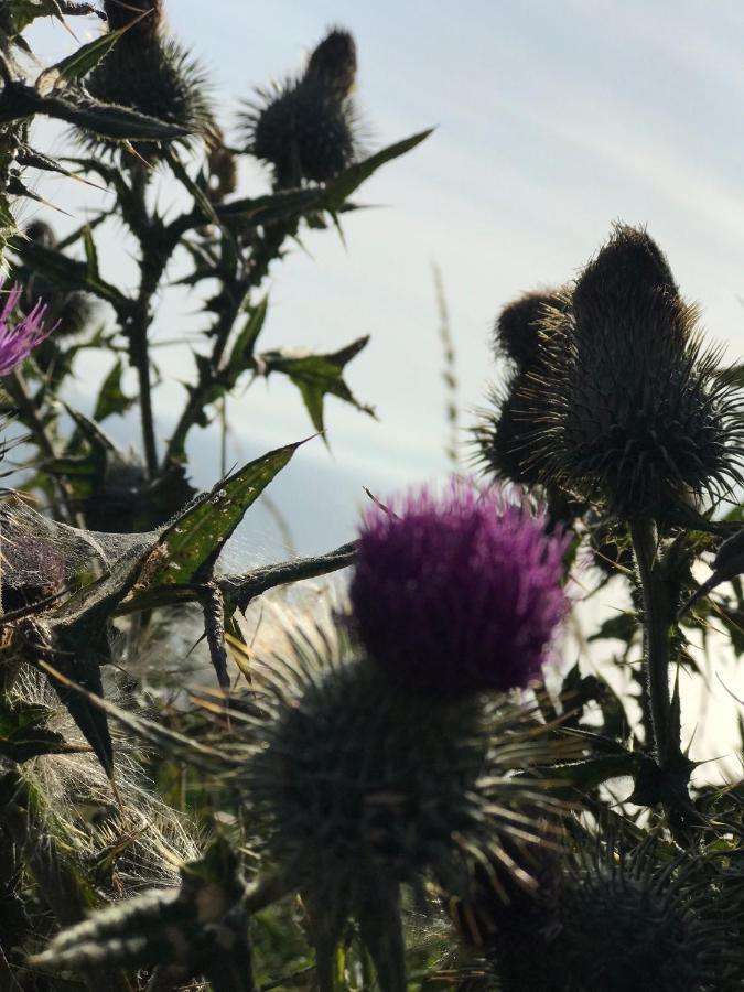 Bunnahabhain 5 - Farm Stay - Stunning Sea And Rural Views Stranraer Zewnętrze zdjęcie