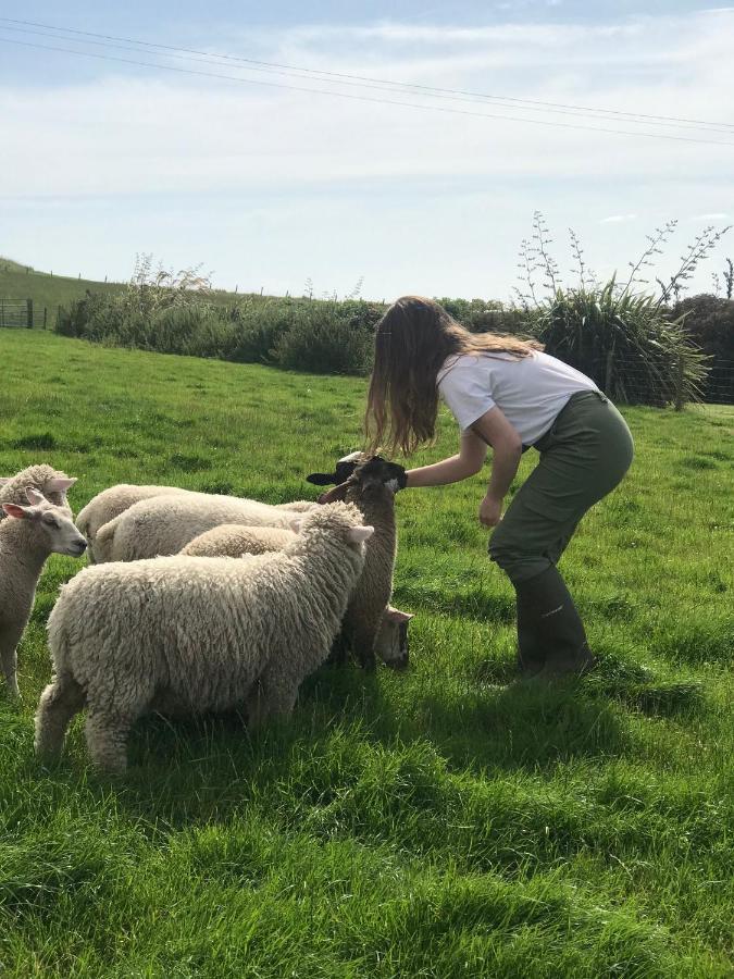 Bunnahabhain 5 - Farm Stay - Stunning Sea And Rural Views Stranraer Zewnętrze zdjęcie
