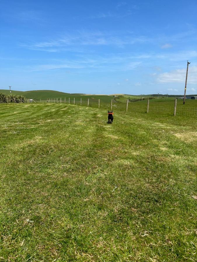 Bunnahabhain 5 - Farm Stay - Stunning Sea And Rural Views Stranraer Zewnętrze zdjęcie