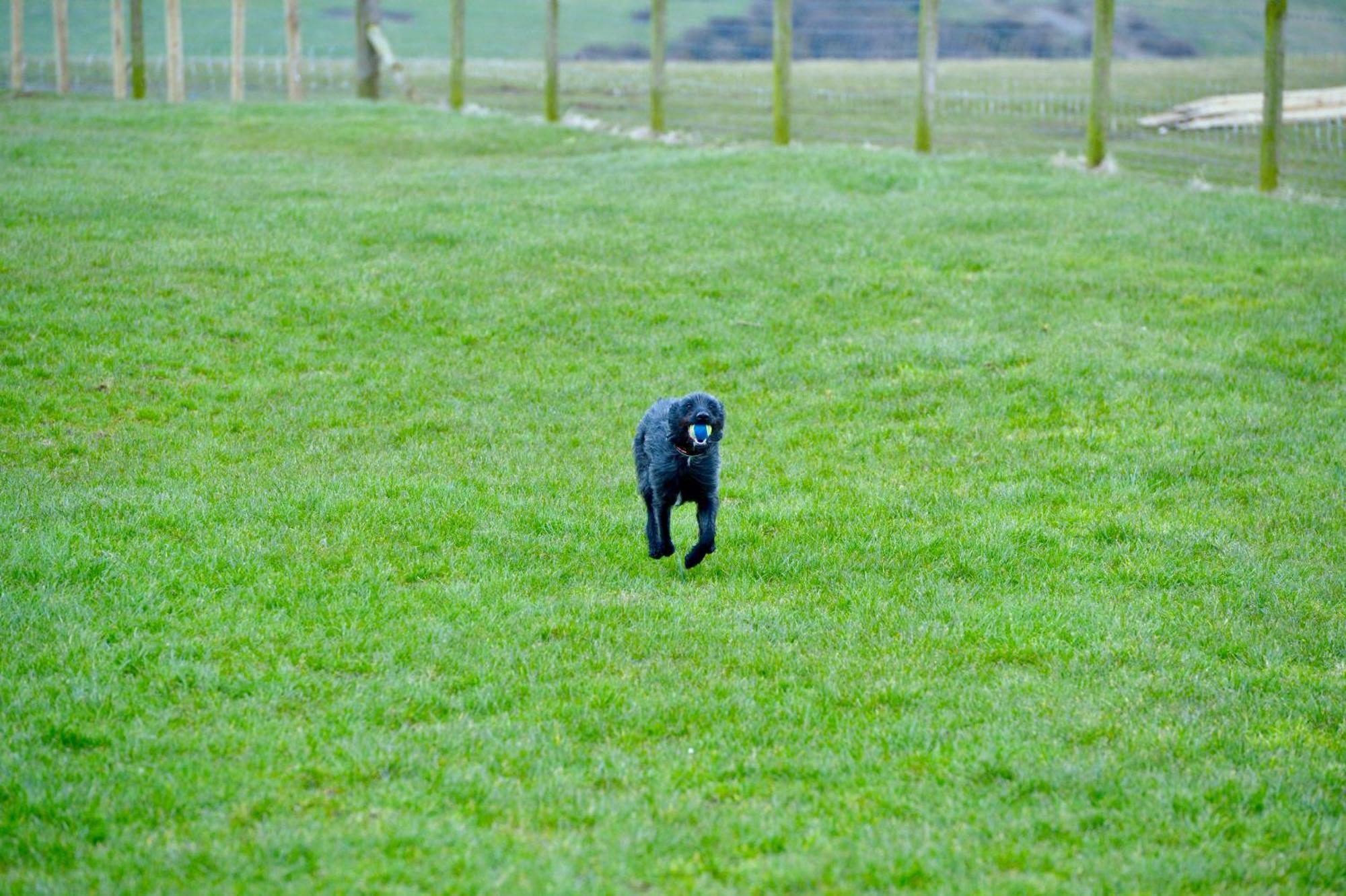 Bunnahabhain 5 - Farm Stay - Stunning Sea And Rural Views Stranraer Zewnętrze zdjęcie